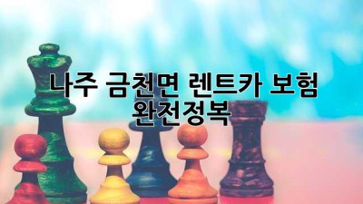 나주 금천면 렌트카 보험 완전정복! 🚗💨